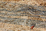 Heavy minerals (dark) as thin strata in a quartz beach sand (Chennai, India)