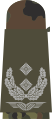 b. Mounting loop with bright-grey emblem on stone-olive base textile – Luftwaffe (here: lieutenant colonel)