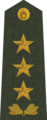 Ģenerālleitnants[31] (Latvian Land Forces)