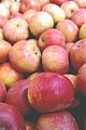 Apple "Annurca" with distinctive ripening process
