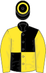 BLACK and YELLOW QUARTERED, yellow sleeves, black cap with yellow hoop