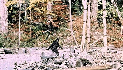 Still from the Patterson–Gimlin film - when of the greatest, if not mostly harmless, hoaxes of the mid-20th century