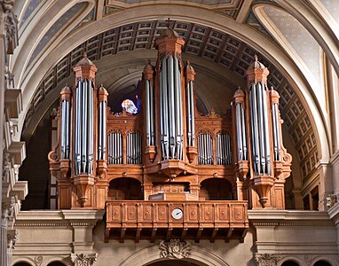 The principal organ
