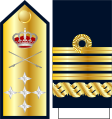 Capitán general de la Armada ("captain general of the navy") shoulder board and sleeve