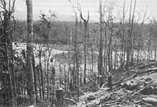 A scene of desolation atop a jungle hill following the fighting