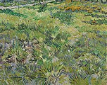Field of Grass with Butterflies and Flowers 1889 National Gallery, London, England (F672)