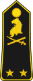 Général de brigade (Cameroon Ground Forces)