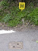 British fire hydrant and sign – the sign indicates the hydrant is 100 mm in diameter and 1 metre from the sign