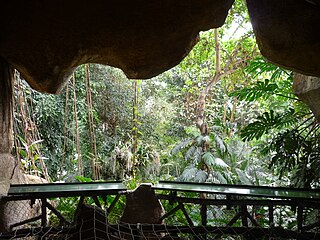 Interior of the "Jardin d'hiver" greenhouse