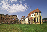 Ruins of the Cărța Monastery