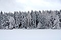 *Swabian Alps *Tree *Winter