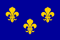 The royal banner of France or "Bourbon flag"