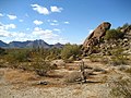 Image 6The Sonoran Desert 35 miles (56 km) west of Maricopa, Arizona (from Geography of Arizona)