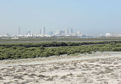 Mangroven vor der Skyline von Umm al-Qaiwain