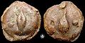 Uncia (coin) (c. 275–270 BC)