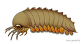 Image 18Reconstruction of Mollisonia plenovenatrix, the oldest known arthropod with confirmed chelicerae (from Chelicerata)