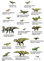 Image 15Species of Ceratopsia dinosaurs