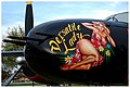 Painted nose section of a Douglas B-26C(A-26) "Invader" (March 2007)