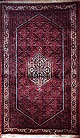 Bidjar rug with Herati pattern