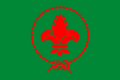 Vietnamese Scout Association (1930 - now)