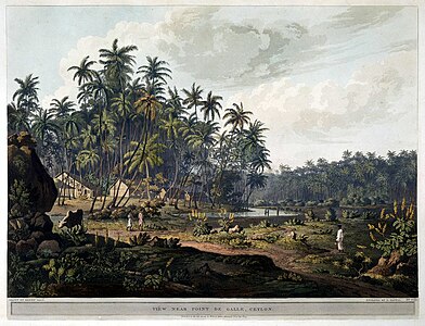 "View near Point de Galle, Ceylon"