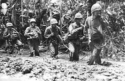 Marines standing in knee-high mud in the jungle.