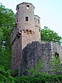 Neckarsteinach: The ruins of Schwalbennest