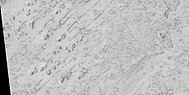 Close view of field of rootless cones, as seen by HiRISE under HiWish program
