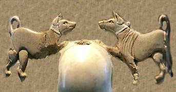 Collar-wearing domestic dogs (Back, 2nd register, around the knob).[35][36]