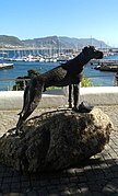 Statue of Just Nuisance in Simon's Town.