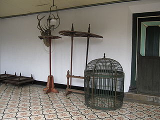 Birdcage on a floor