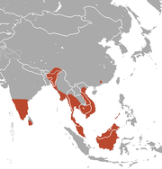 Southern India, Sri Lanka, coastal Indochina, and Borneo