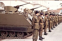 Armoured vehicles of the 13th Carabinieri Battalion in 1980s.