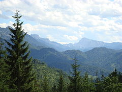 Der Rothwald am Dürrenstein (Österreich)