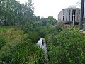The Rye River flowing by the university library
