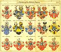 Siebmachers Wappenbuch von 1605 Wappen der Familie Paumgartner, Nürnberg (oben 2. von rechts)