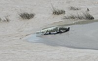 A crocodile along the Tekezé River