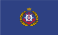 Flag of the Bahrain Navy