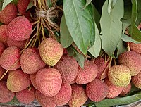 Lychee fruits at a market in West Bengal, India
