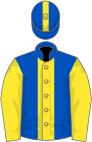 Royal blue, yellow stripe and sleeves, stripe on cap