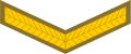 Lance corporal (South African Army)[41]