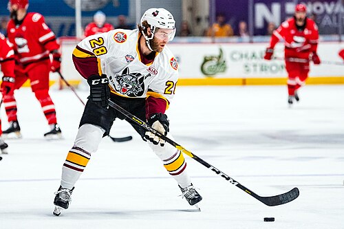 2019 Calder Cup Finals - Game 2 - Chicago Wolves at Charlotte Checkers - June 2, 2019 - Jake Bischoff (48038994778).jpg