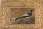Spotted Forktail, Folio from the Shah Jahan Album, c. 1610–15, Metropolitan Museum