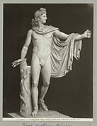 Apollo Belvedere, Vatican Museum, Rome (Photograph by Alinari, c. 1900)