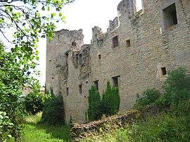 The ruins of the chateau in Louvigny
