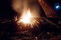 Campfire on the beach, coconut wood, Palawan Island, Philippines