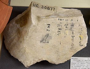 Piece of waste limestone. Accounts, in black ink, by workmen of the number of stone blocks delivered for the Meidum Pyramid. 4th Dynasty. From Pyramid waste, mastaba 17 at Meidum, Egypt. The Petrie Museum of Egyptian Archaeology, London