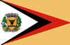Flag of Bento de Abreu