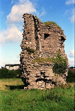 Castle ruin at Donacarney