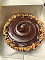 Chocolate pie with hazelnut crust